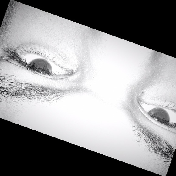 Meet your Posher, Kelin - Picture 1 of 1